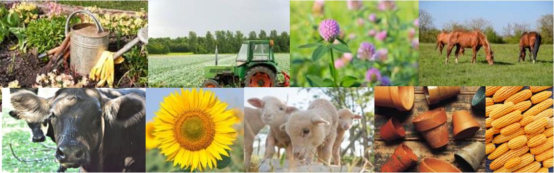 agric food natural resources