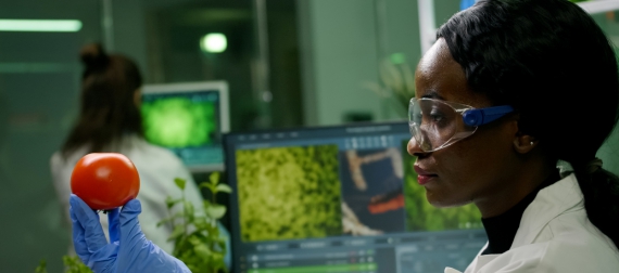 Department of Food Science and Technology