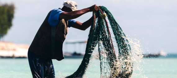 Department of Fisheries and Aquaculture Technology